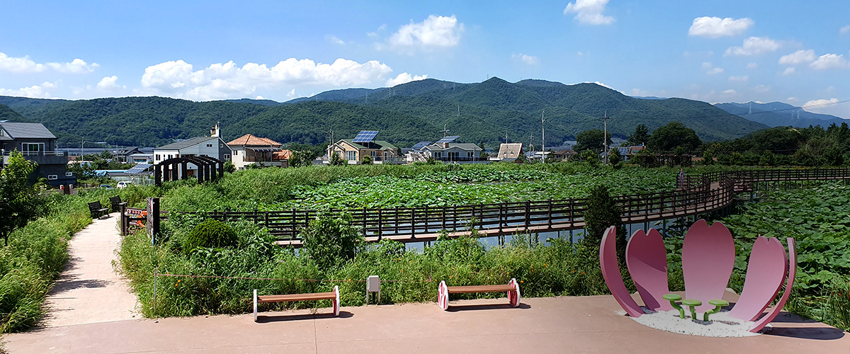 연꽃소류지 전경