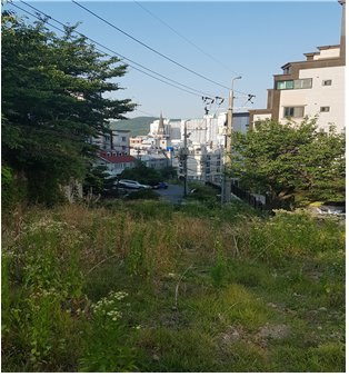 도로개설