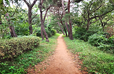 Hiking Trail