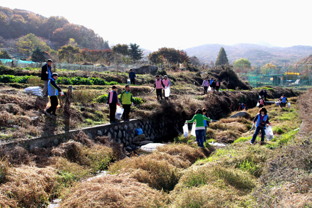 의원, 직원 자연정화 활동