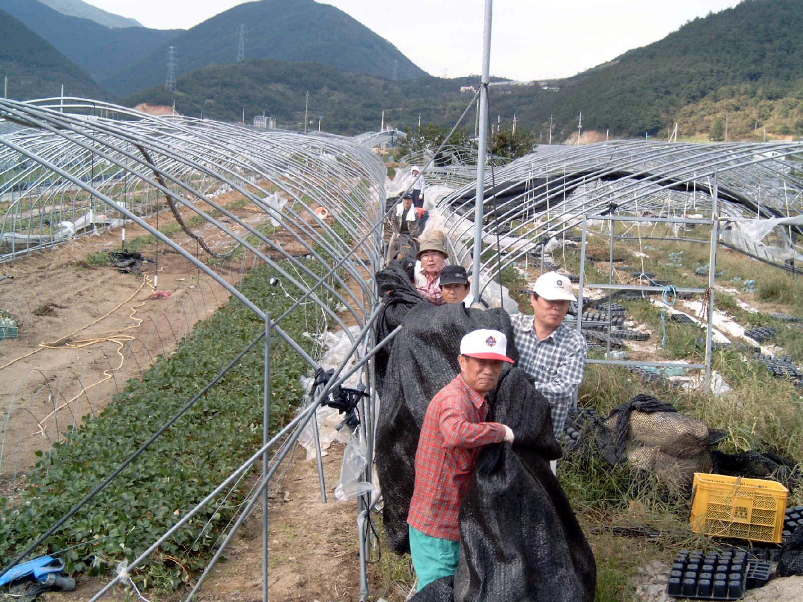 재해복구 지원 활동 ▷ 산청군 단성면 자양마을