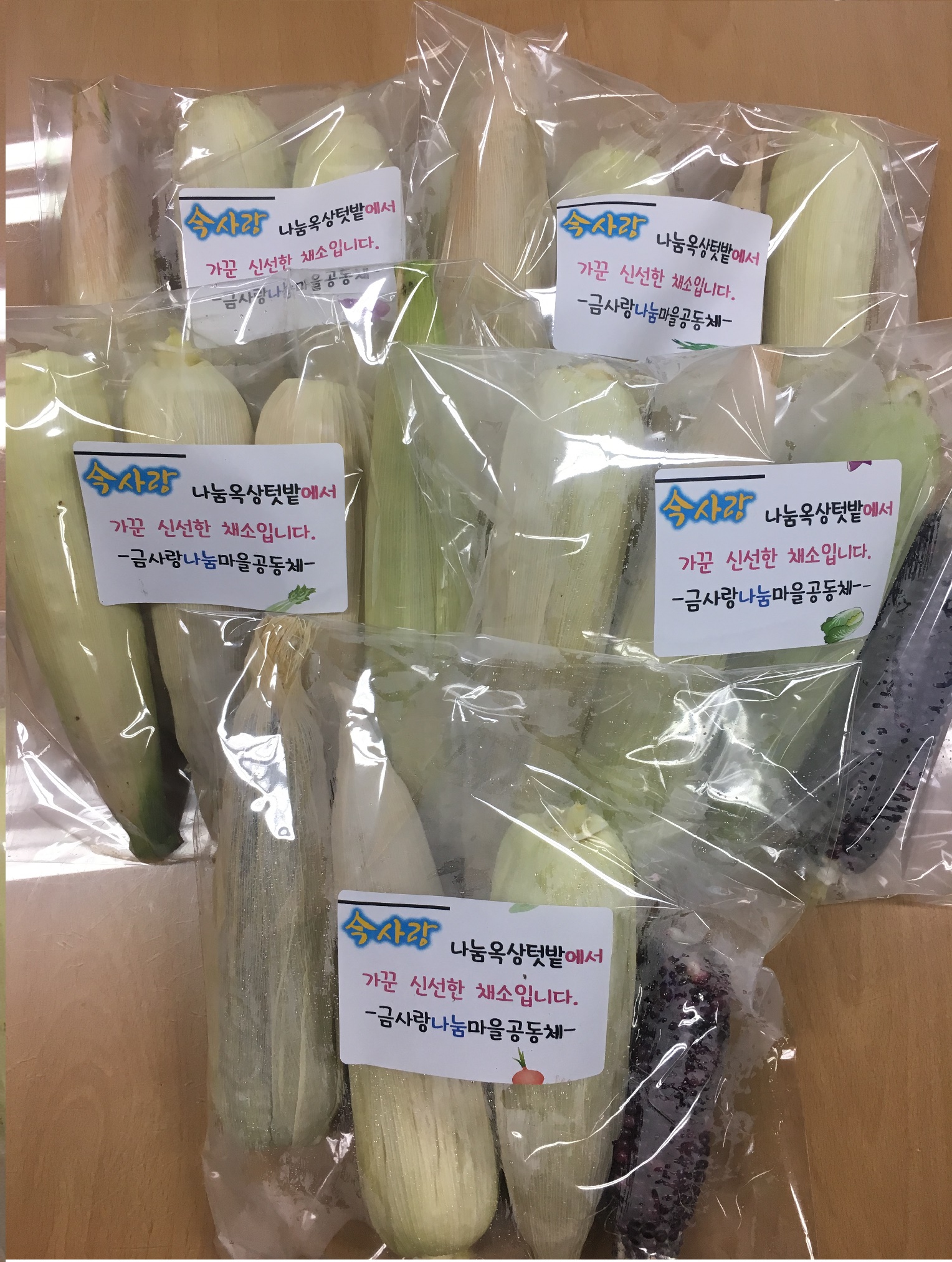 今사랑 나눔옥상텃밭 가꾼 채소 나눔 0