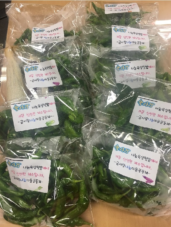 今사랑 나눔옥상텃밭 가꾼 채소 나눔 1