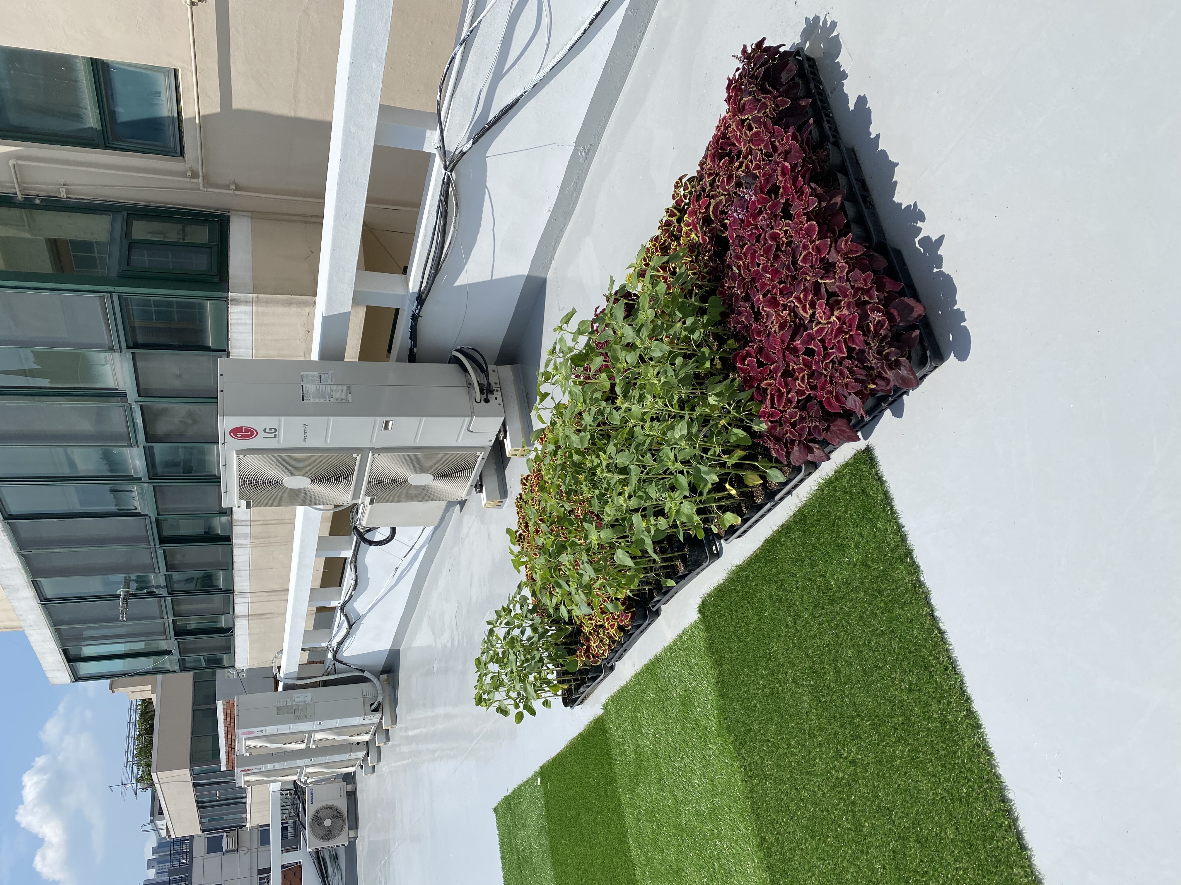 기찰이네 옥상 공원 정비 1