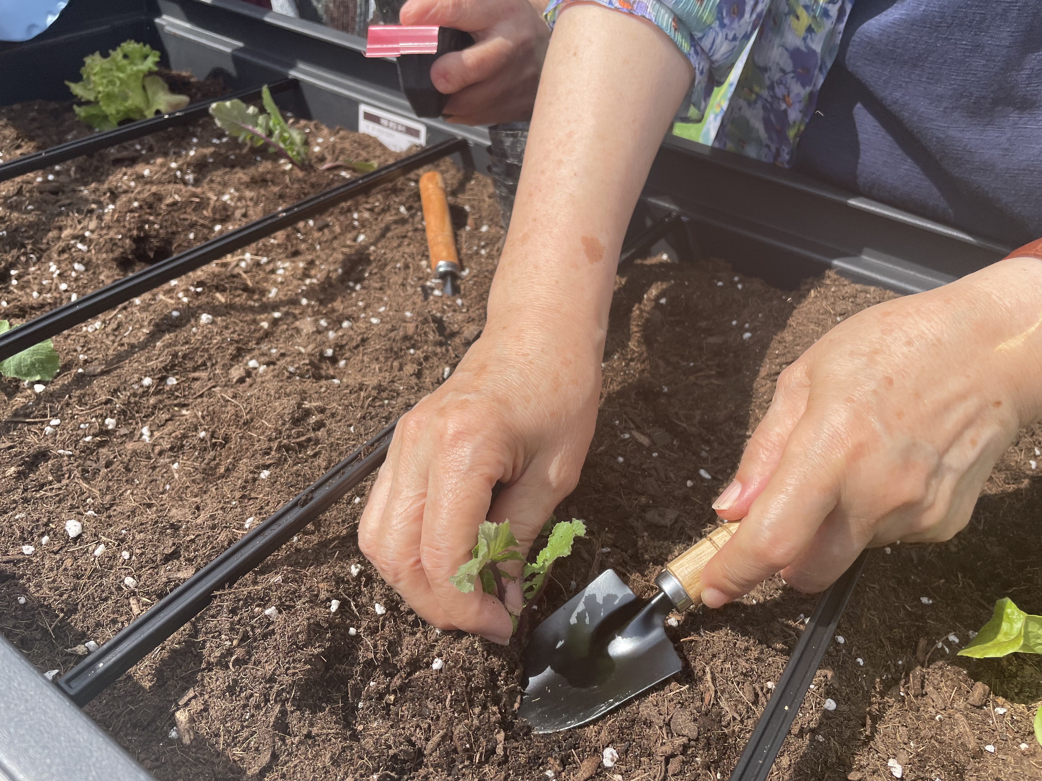 2022 주민자치 공모형 프로그램<삼행시:힐링가든> 3