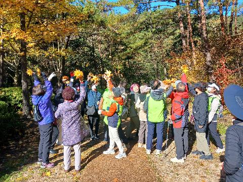패밀리가 떴다! 효드림 힐링드림 추진
