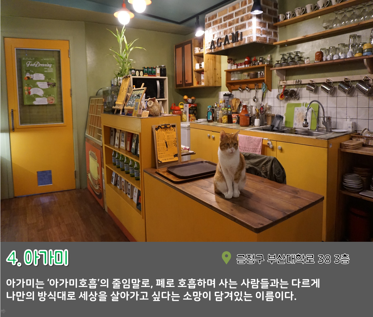 6편 : 나만 알고싶은 이색 문화공간  투어(Ⅱ) 7