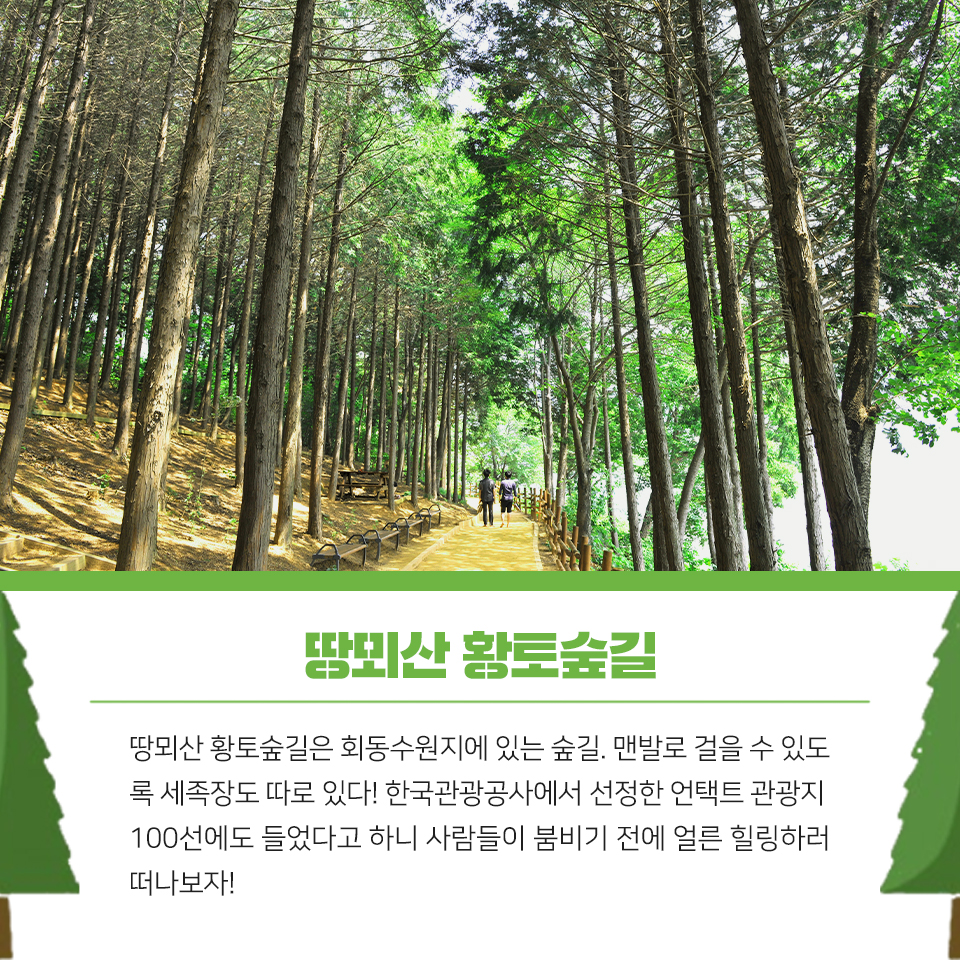 14편 :  자연과 함께 여유를 즐길 수 있는 금정구 등산, 산책로 1