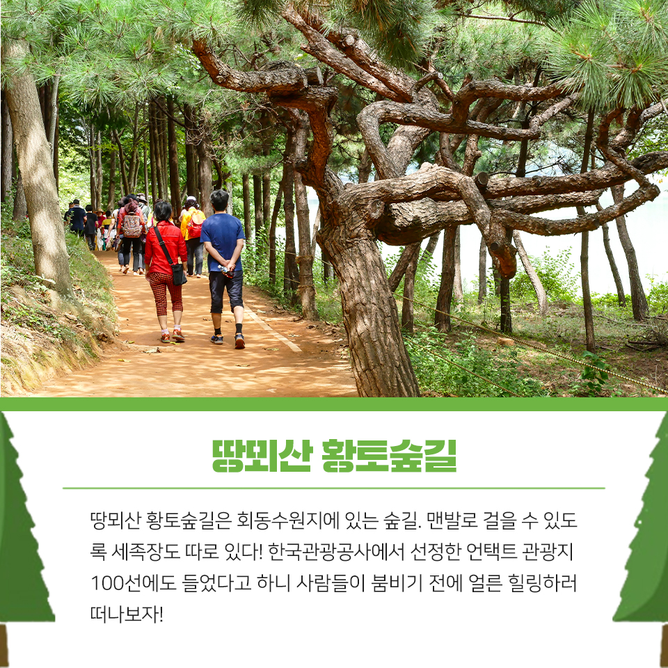 14편 :  자연과 함께 여유를 즐길 수 있는 금정구 등산, 산책로 2