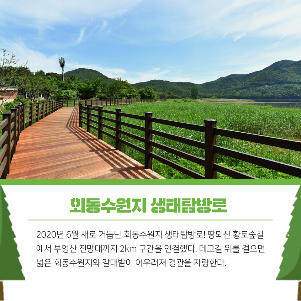 14편 :  자연과 함께 여유를 즐길 수 있는 금정구 등산, 산책로 3