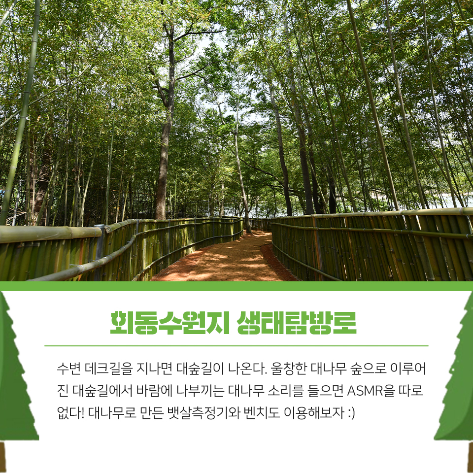 14편 :  자연과 함께 여유를 즐길 수 있는 금정구 등산, 산책로 4