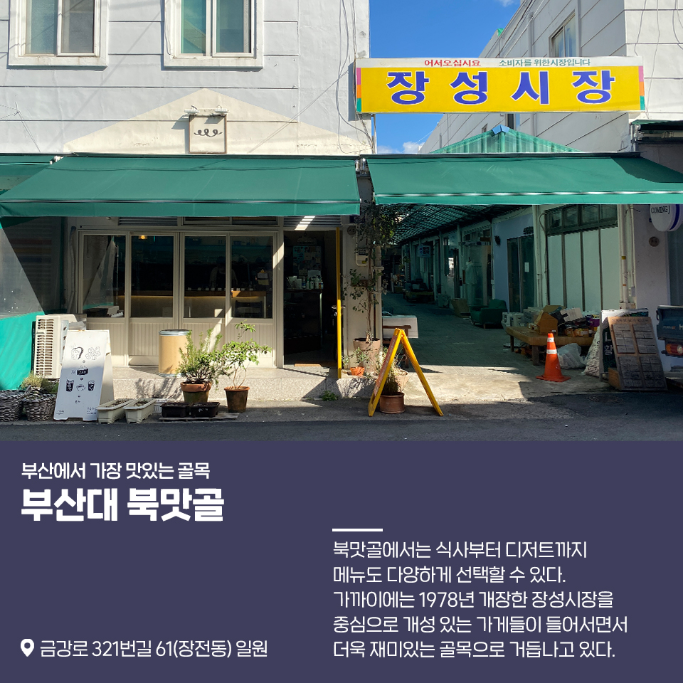 18편: 젊음의 메카 부산대학 앞 2