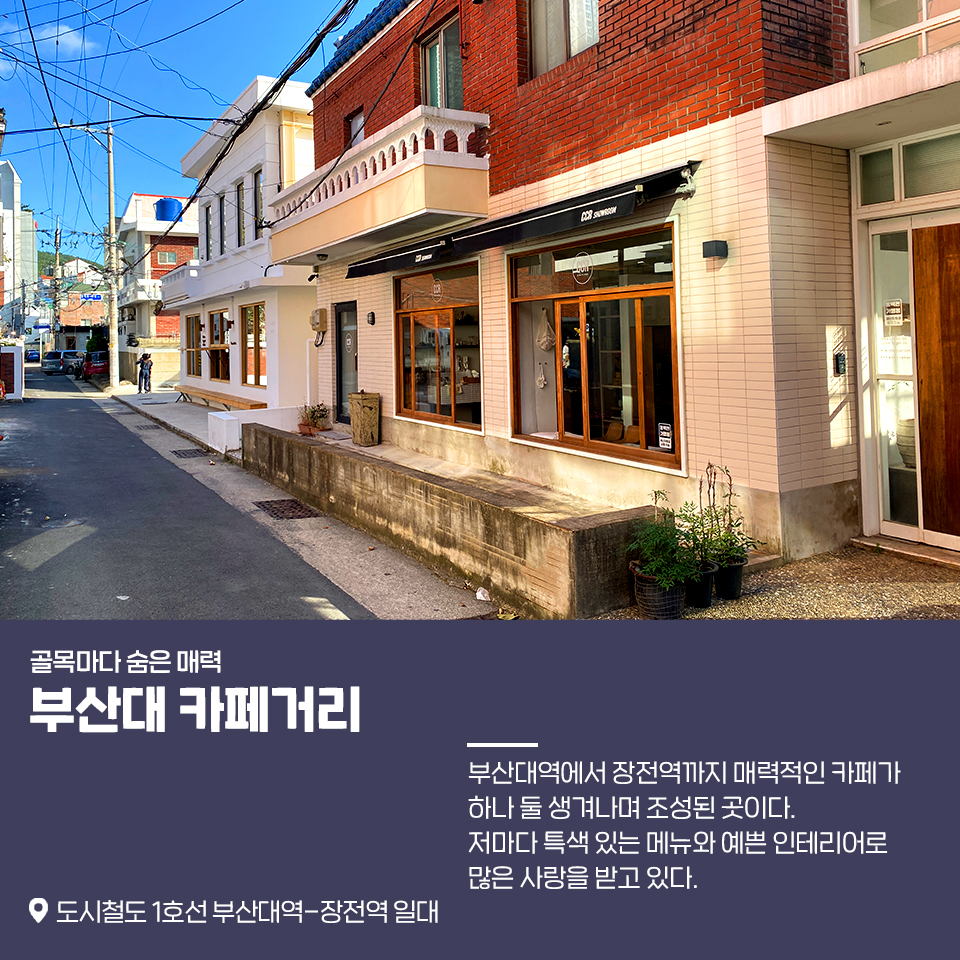 18편: 젊음의 메카 부산대학 앞 5