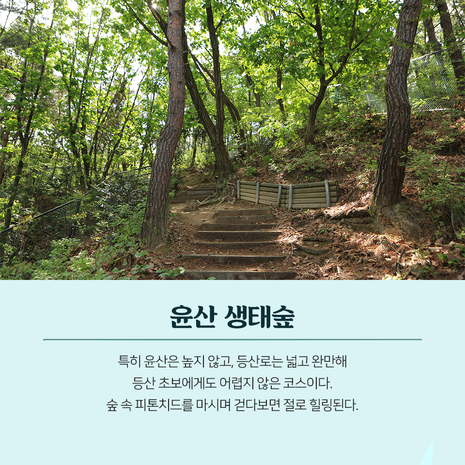 21편: 부곡동으로 오시게 8