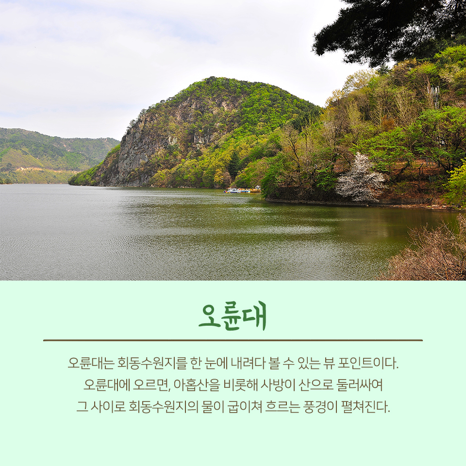 26편: 자연으로 떠나는 여행, 회동수원지 1