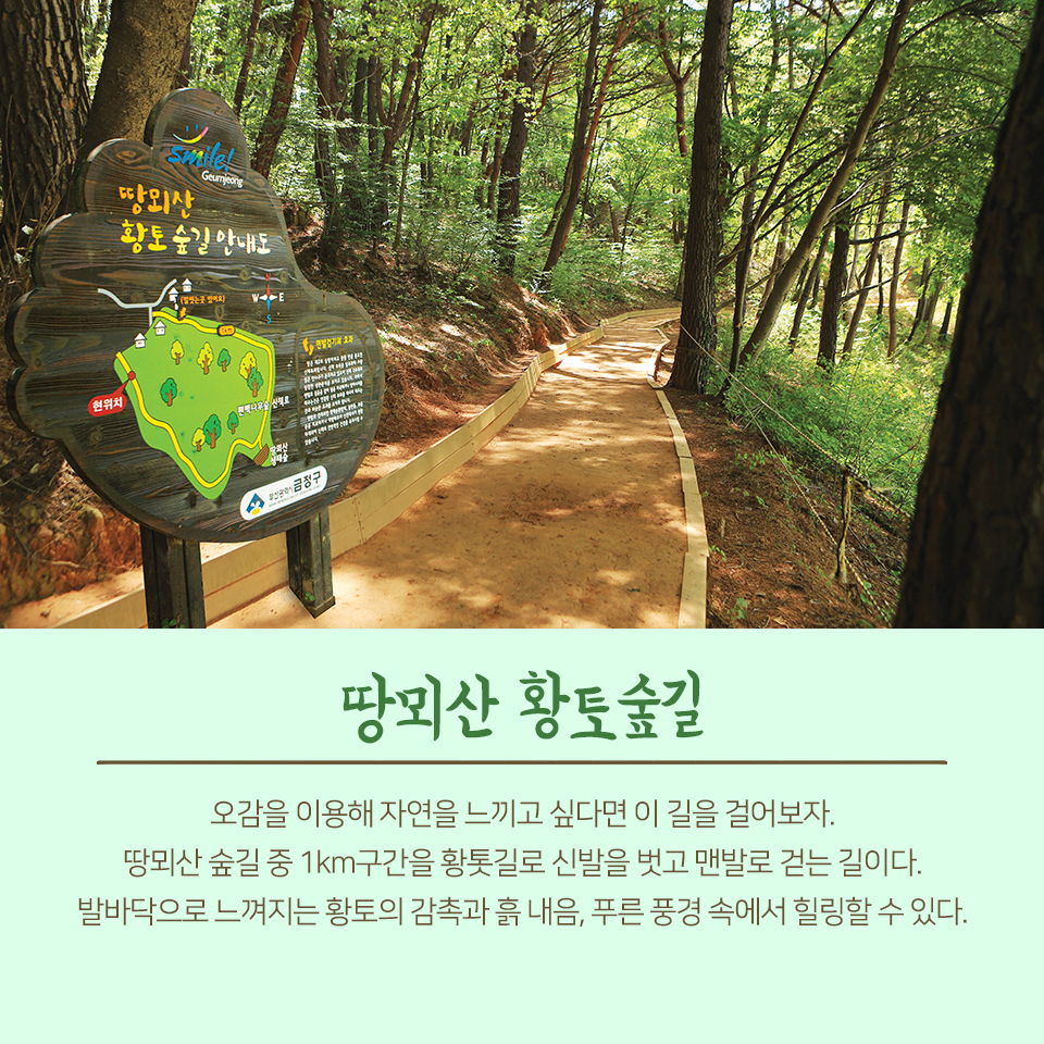 26편: 자연으로 떠나는 여행, 회동수원지 3