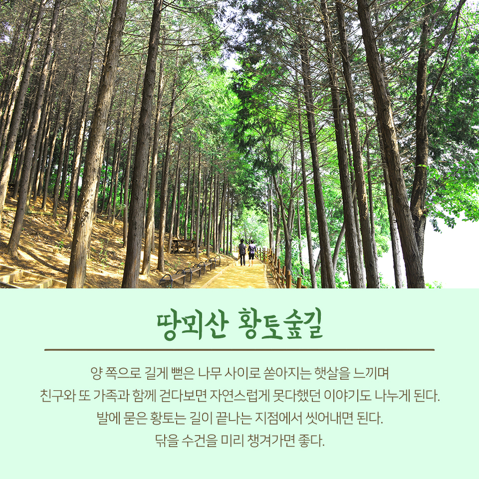 26편: 자연으로 떠나는 여행, 회동수원지 4