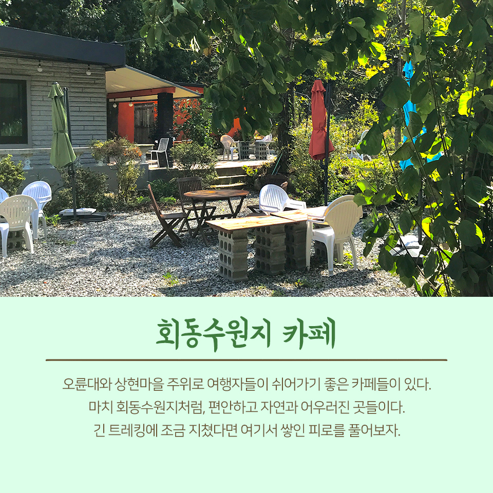 26편: 자연으로 떠나는 여행, 회동수원지 7