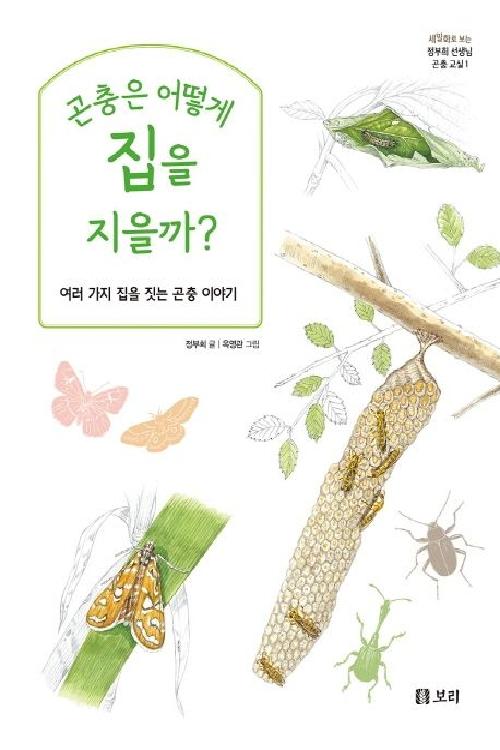 곤충은 어떻게 집을 지을까? : 여러가지 집을 짓는 곤충 이야기