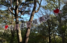 회동호 가을빛 축제 행사모습 1