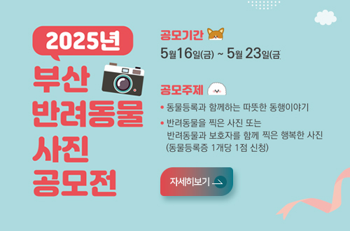 2025년 부산 반려동물 사진공모전
자세히보기